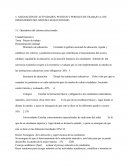 Tarea - Puesto de trabajo.