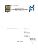 OBTENCION DEL PEROXIBORATO DE SODIO.