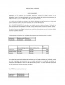 PARCIAL FINAL de PRICING