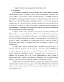 Resiliensia- DELIMITACIÓN DEL TRABAJO DE INVESTIGACION.
