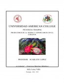 La COOPERATIVA PITANICSA TRADING