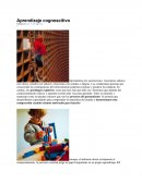APRENDIZAJE CONGNOSCITIVO