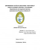 Informe # 1 BROMO POR ELECTROLISIS