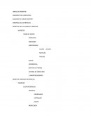 MONTAJE DEL AUTOMOVIL PRINCIPAL.