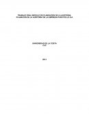 Auditoria financiera.