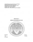 LABORATORIO DE FISICA GENERAL.