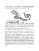 La Zona Económica Exclusiva