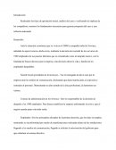 Informe del Caso Jet Airways.