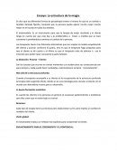 Ensayo: La estructura de la magia.