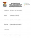 ANALISIS DE LAS ENTREVISTAS