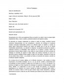 INFORMES PEDAGOGICOS.