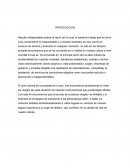 Proyecto tu conductor elegido