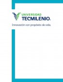 Mercadotecnia Evidencia 2.- Reporte Técnico