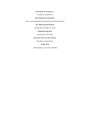 Tema: sustentabilidad en la producción de energía eléctrica.