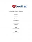 Importancia de mercadotecnia en ingenieria industrial.