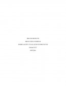 Control 1 formulacion y evaluacion de proyectos