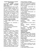 PLAGAS QUE ATACAN AL CULTIVO DE PLÁTANO.