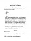 Tema- El calentamiento global.