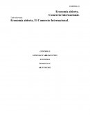 Economía abierta, El Comercio Internacional