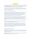 INFORME ARTE CONCEPTUAL -SINTESIS-.