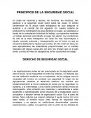 PRINCIPIOS DE LA SEGURIDAD SOCIAL.