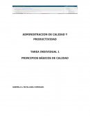 Principios básicos de la calidad.