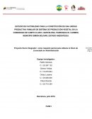 Tema- Tesis completa.