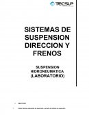 SISTEMAS DE SUSPENSION DIRECCION Y FRENOS SUSPENSION HIDRONEUMATICA (LABORATORIO)