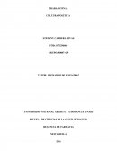 Tema- Cultura politica.