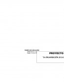 La Organización, Valor y Necesidad