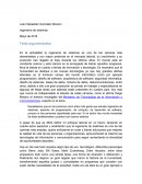 Visión de ingenerio de sistemas