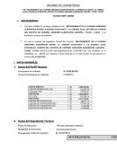 Informe de Consistencia