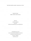 REFLEXIÓN HISTÓRICA SOBRE LA IDENTIDAD CULTURAL