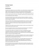 Ejercicios investigacion de operaciones.