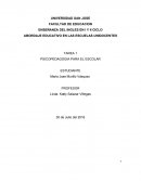 Abordaje educativo en las escuelas unidocentes