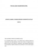 Mediocridad Inoperante Activa.