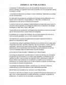 Metabolismo de los ácidos grasos.