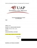 FILOSOFIA DESARROLLO DE TRABAJO ACADEMICO