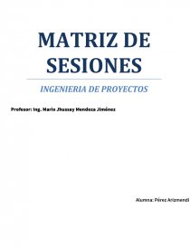 MATRIZ DE SESIONES INGENIERIA DE PROYECTOS. Página 1