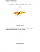 Estudio de Factibilidad para establecer una empresa de productos típicos en el corredor turístico en Santa Rosa de Copán, Honduras