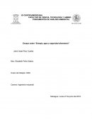 Energía, agua y seguridad alimentaria.