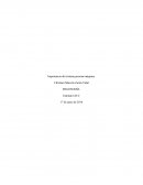 ¿Cuál es la importancia del sistema persona-máquina en las empresas?.