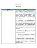 Gobierno Corporativo Cuadro informativo