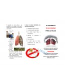 El cigarrillo no solo afecta a los fumadores, si no también a los niños y adultos que involuntarios se contaminan con el humo.