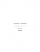 Fundamentos de prevención control.