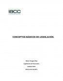 Conceptos basicos de Legislacion.