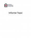 Informe Tepsi.