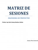 MATRIZ DE SESIONES INGENIERIA DE PROYECTOS