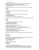 Plantea estrategias para alcanzar determinados públicos, desarrollar mensajes y seleccionar los métodos adecuados para alcanzar dichos objetivos