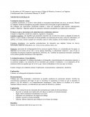 Derecho de la mineria resumen.